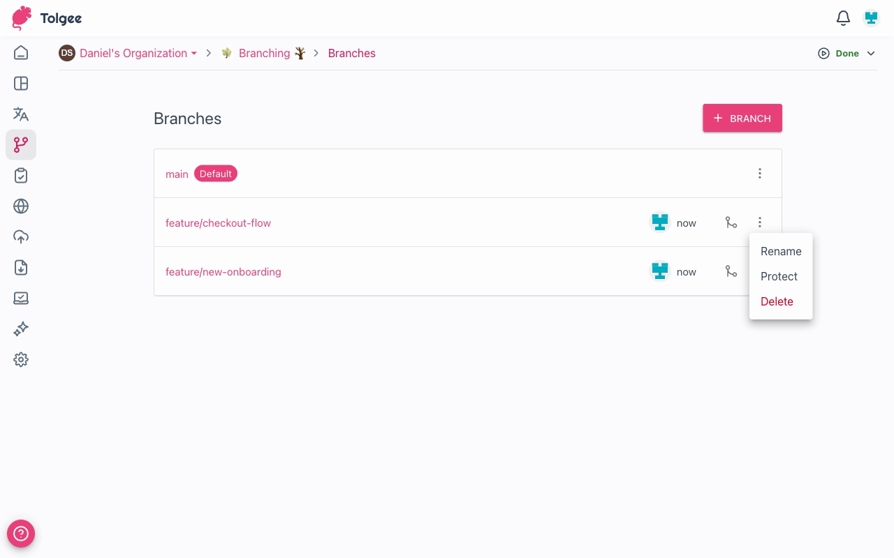 Branch actions menu showing Rename, Protect, and Delete